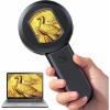 imageHayve Digital Magnifying Glass with 2 IPS Screen 100X Magnifying Glass with Light Coin Magnifier for Jewelers Loupe White amp Purple Lights Windows Compatible2inch Black
